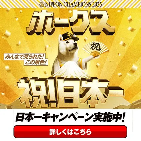 DELL Streak Pro 101DL | スマートフォン・携帯電話 | ソフトバンク