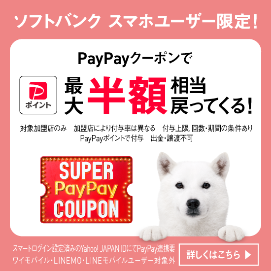 スーパーPayPayクーポン　PayPayクーポンで最大半額相当戻ってくる！