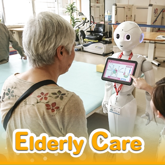 /robot/pepper/developer/