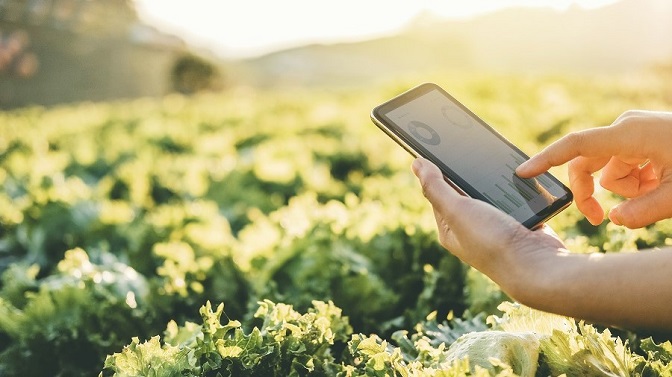 海昇集団がAlibaba Cloud「農業大脳」の導入で約3億円のコスト削減に成功（山谷剛史の中国から学ぶITトレンド）