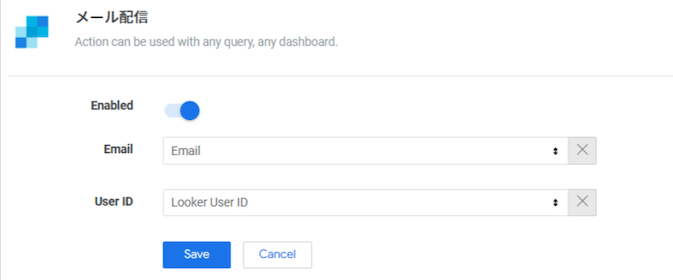 Looker カスタム Action「メール配信」の有効化画面