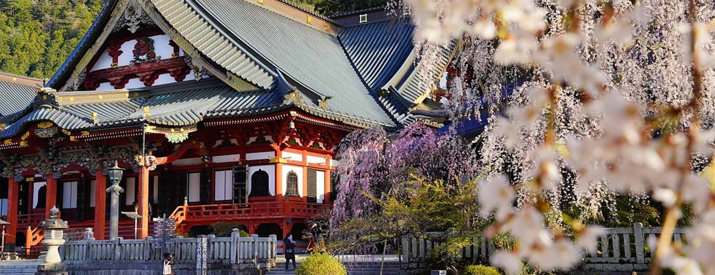 身延町　マチレポ導入事例