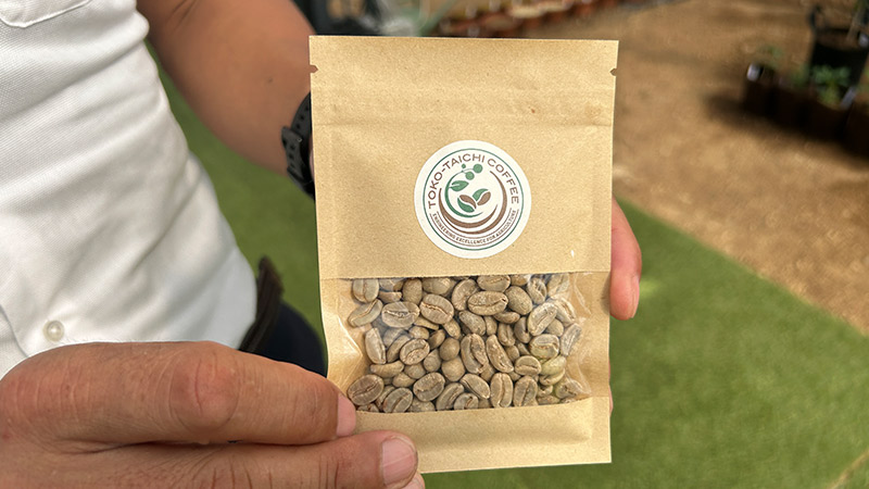 実際のコーヒー豆