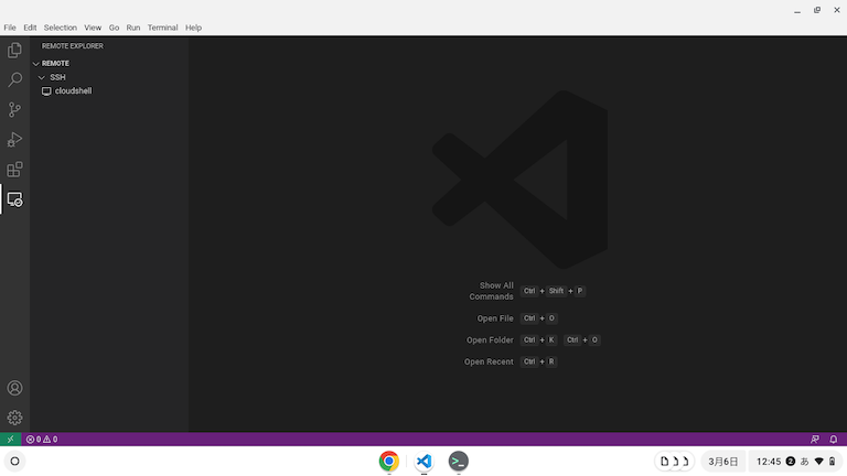 Chrome Book で Visual Studio Code を起動した時の画面