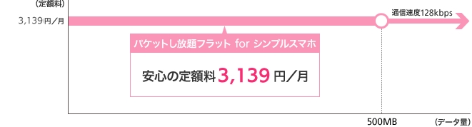 シンプルスマホ専用パケット定額サービス