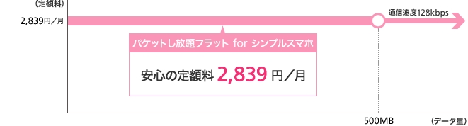 シンプルスマホ専用パケット定額サービス