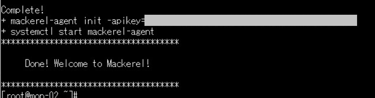 インストール完了