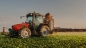 ソフトバンクの５G活用事例-農業