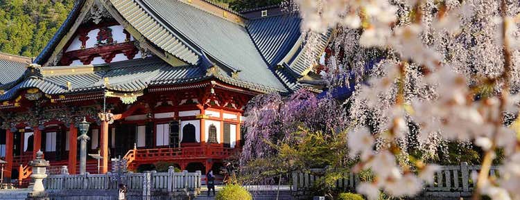 身延町　マチレポ導入事例