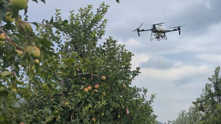 株式会社コハタ　ドローン自動散布