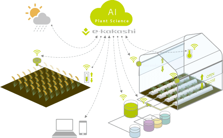 「e-kakashi」は田畑にセンサを設置し、取得した栽培・環境データをアプリの管理画面で見える化するソリューション。