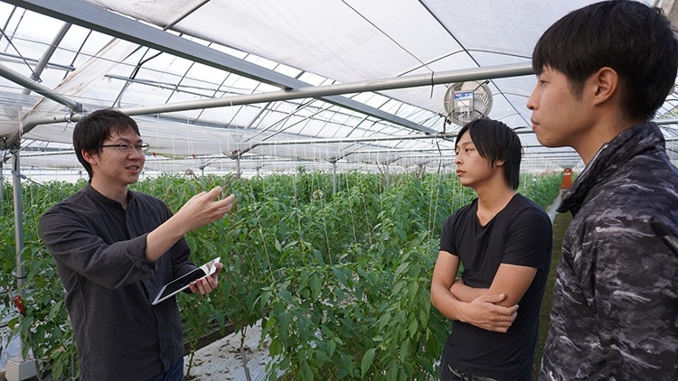 生産者 松元氏のビニールハウスに訪れる、農学博士の山本恭輔氏