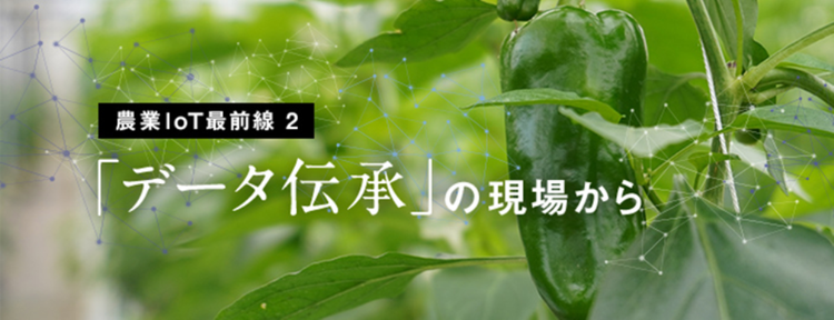 なぜ、農業IoTのデータ活用は上手くいかなかったのか？ | 鹿児島県南大隅町e-kakashi導入事例