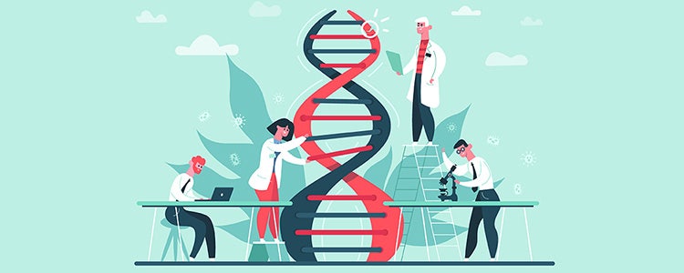 ※ゲノム　…　遺伝子（gene）と染色体（chromosome）から合成された言葉で、DNAの全ての遺伝情報のこと