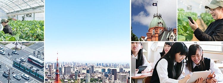 自治体DX推進サイト「ぱわふる」 , 画像