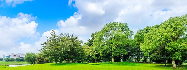 再エネプラン・非化石証書