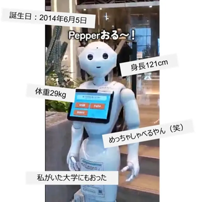 Pepper,ペッパー