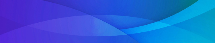 Canva定着化支援