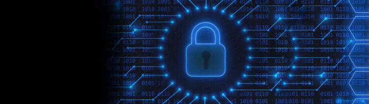 Rapid7 InsightVM による脆弱性管理のイメージ