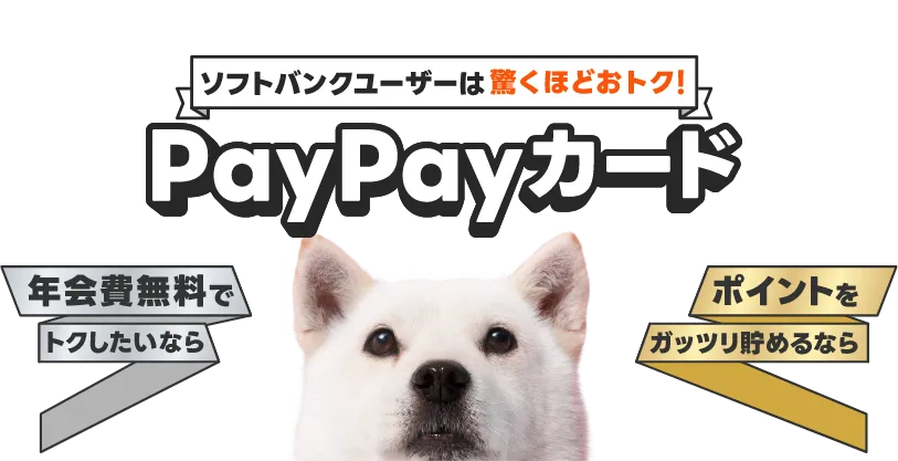 ソフトバンクユーザーはだんぜんおトク！PayPayカード 年会費無料でトクしたいなら ポイントをガッツリ貯めるなら