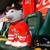 優勝時のお父さん応援隊長