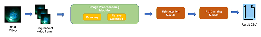 図2　映像から魚の検知をするためのディープラーニング学習モデル