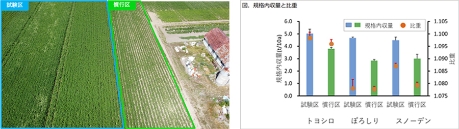 「試験区」（青枠）と「慣行区」（緑枠）を上空から撮影した画像／図：「試験区」と「慣行区」におけるジャガイモ収量の比較（品種別）（提供：カルビーポテト）
