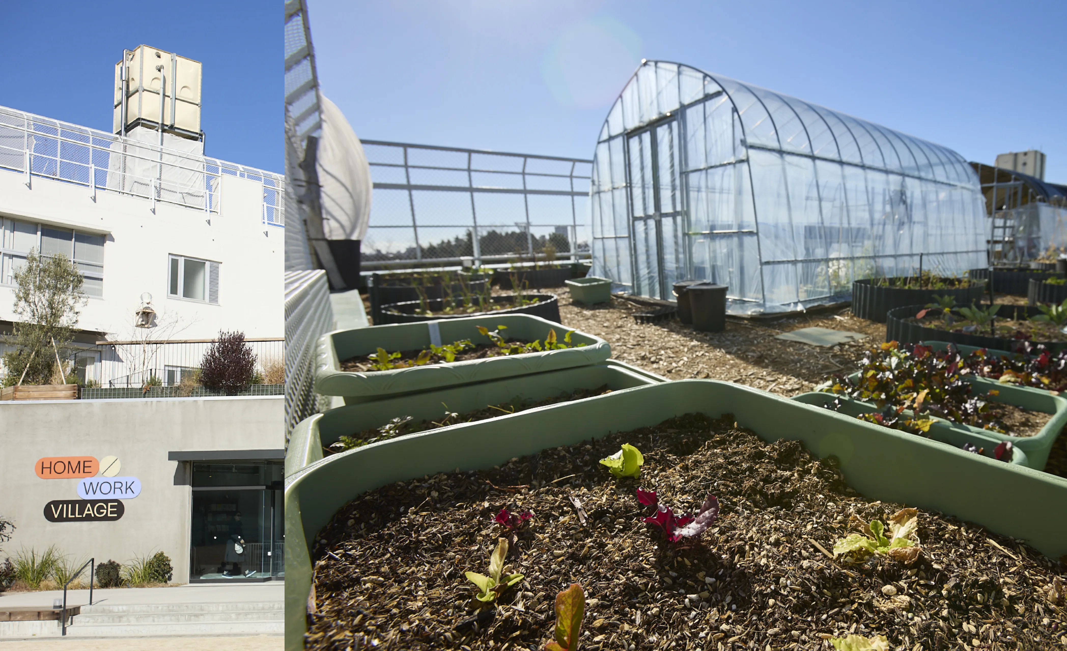 かぶ農園の写真