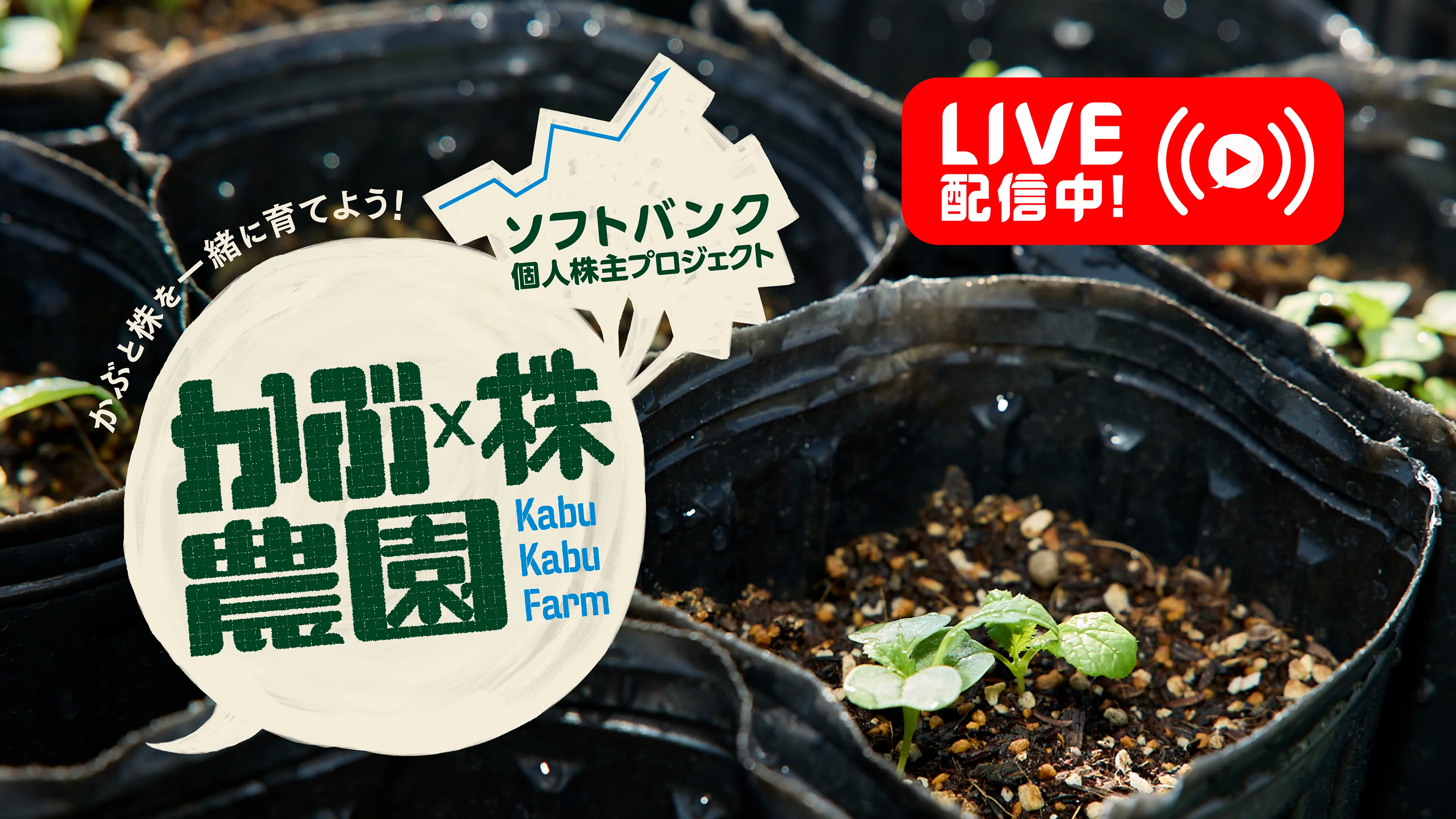 動画のサムネイル