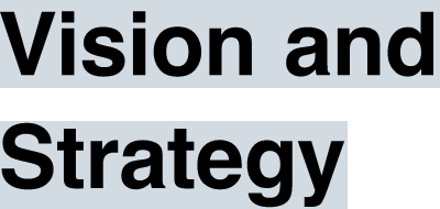 Vision and Strategy