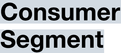 Consumer Segment