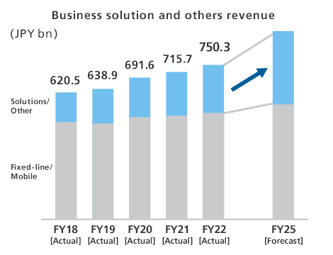 Business solution and others revenue