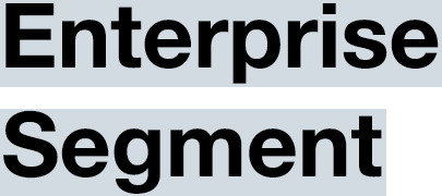 Enterprise Segment