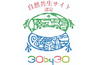 Forest area within the Hokkaido Tomakomai AI Data Center certified as a Nationally Certified Sustainably Managed Natural Site