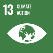 goals 13. Climate action