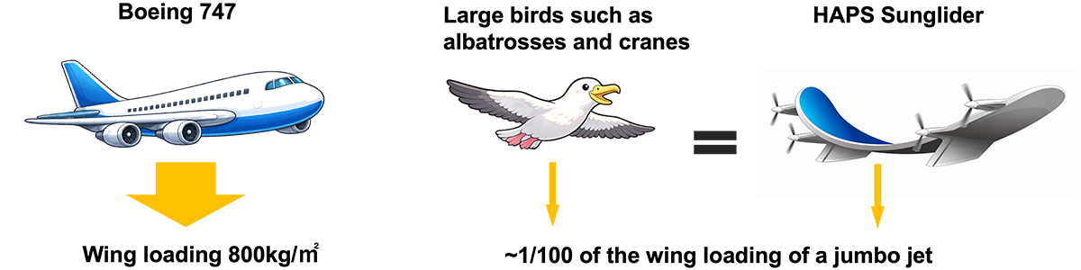 Comparison of wing loading per unit area across different flying bodies