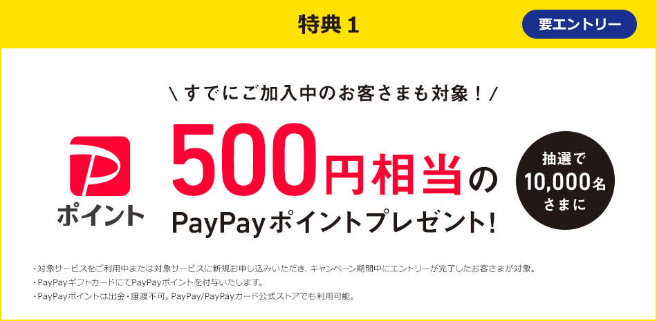 特典1 要エントリー すでにご加入中のお客さまも対象! 抽選で10,000名さまに 500円相当のPayPayポイントプレゼント! 対象サービスをご利用中または対象サービスに新規お申し込みいただき、キャンペーン期間中にエントリーが完了したお客さまが対象。 PayPayギフトカードにてPayPayポイントを付与いたします。 PayPayポイントは出金・譲渡不可。PayPay/PayPayカード公式ストアでも利用可能。