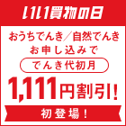 いい買物の日 おうちでんき/自然でんき お申し込みで でんき代初月1,111円割引! 初登場!