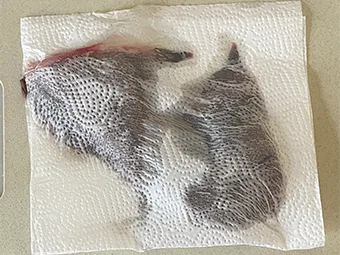 カレイの煮つけのつくり方