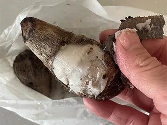 炊き上がり後の工程