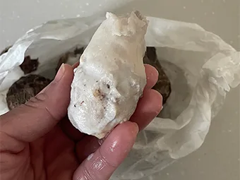 炊き上がり後の工程