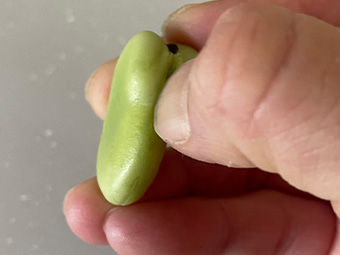 ホットプレートで作る新玉ねぎとそら豆の和風春パスタのつくり方 その6