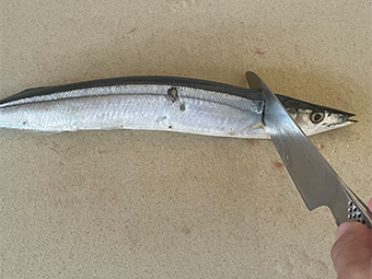 さんまの生姜煮 つくり方8