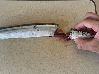 さんまの生姜煮 つくり方9