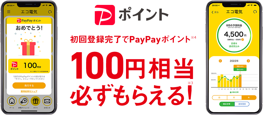 PayPay 初回登録完了でPayPayポイント※6 100円相当必ずもらえる!