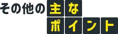 その他の主なポイント