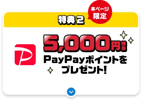 ソフトバンク・ワイモバイルショップでのお申し込みは一部店舗を除き対象外。