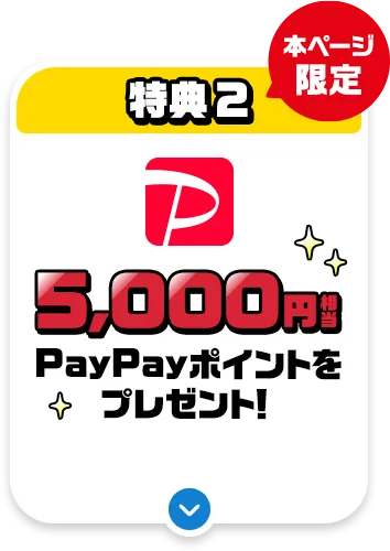 ソフトバンク・ワイモバイルショップでのお申し込みは一部店舗を除き対象外。