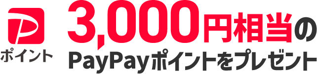 3,000円相当のPayPayポイントをプレゼント