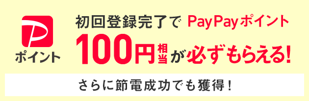 初回登録完了でPayPayポイント100円相当が必ずもらえる！